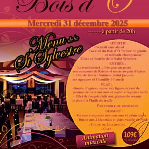 Soirée du Réveillon au Golf du Bois D'Ô (28170 Saint Maixme-Hauterive)